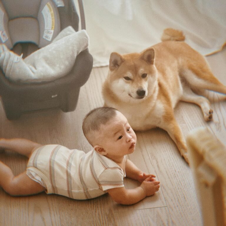 179955f1-5b11-416d-9341-9bdb0e81046f