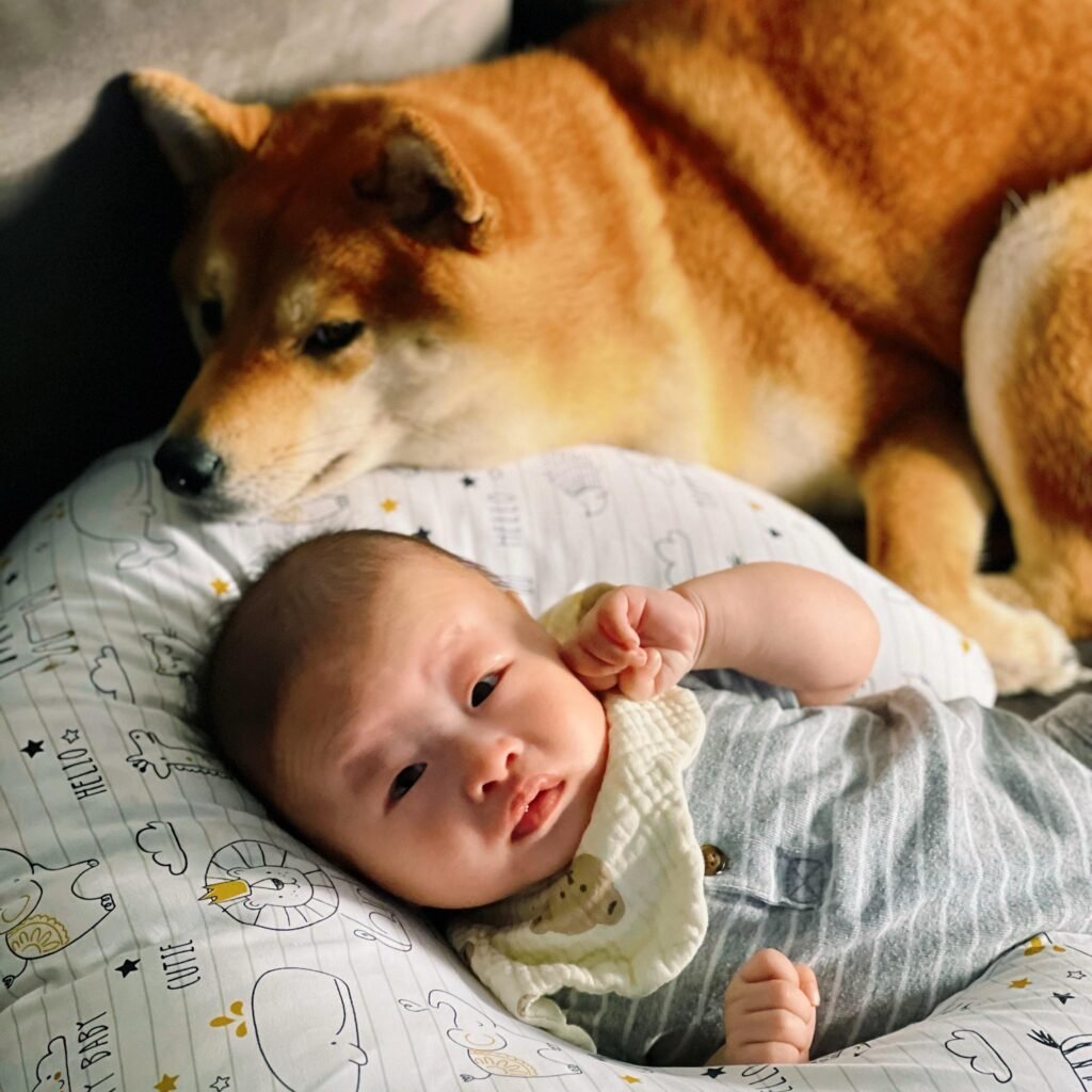 4fa3b2f3-0f83-4004-968b-76c3127a6c2b